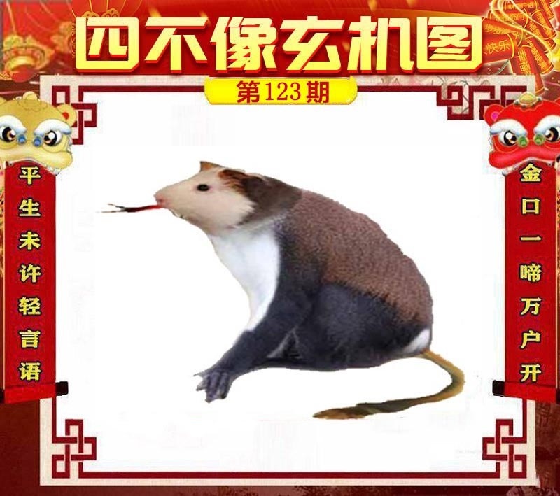 财神手机站